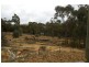 Lot 33 Cobb Drive, Woodstock NSW 2793