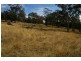 Lot 14 Horton Drive, Cowra NSW 2794
