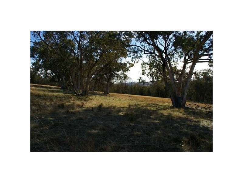 Lot 14 Horton Drive, Cowra NSW 2794