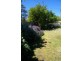 34 Lachlan Street, Cowra NSW 2794