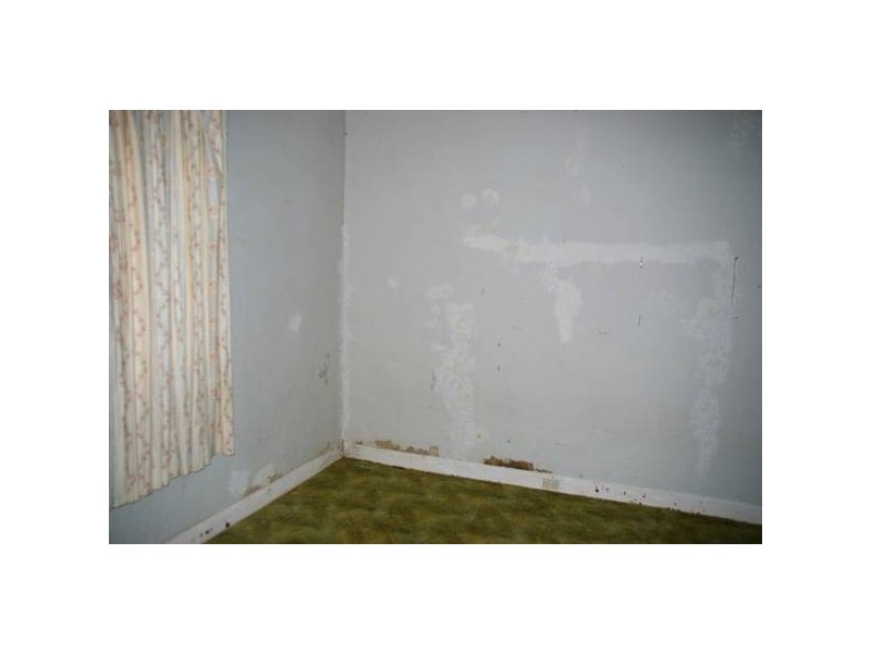 44 Chapple Street, Greenethorpe NSW 2809