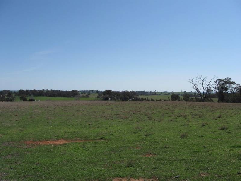 Mid Western Highway, Lyndhurst NSW 2797