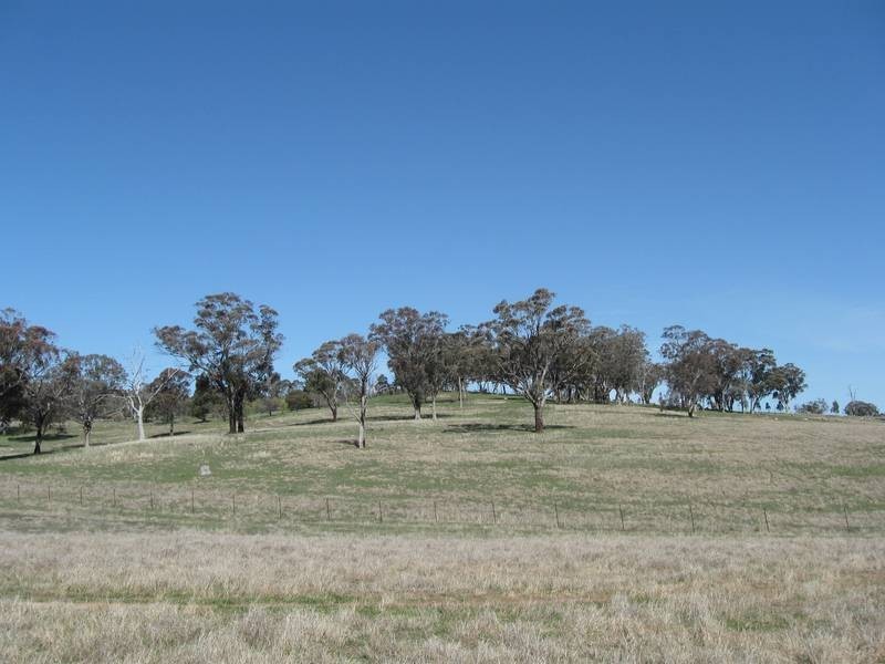 60 Meadows Lane, Lyndhurst NSW 2797