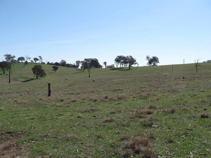 60 Meadows Lane, Lyndhurst NSW 2797