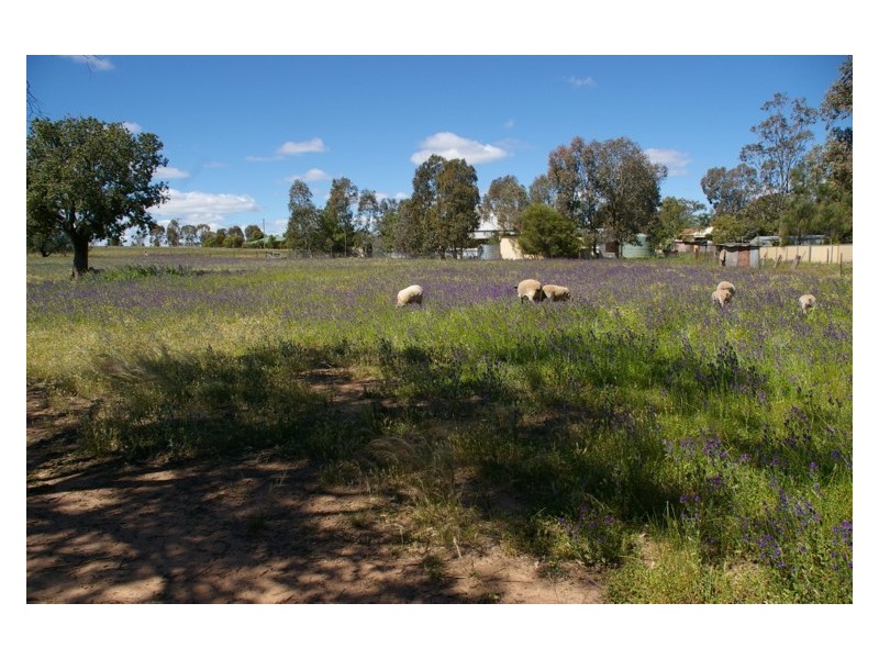 9-13 Campbell Street, Wattamondara NSW 2794
