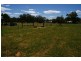 14-22 Waddell Street, Wattamondara NSW 2794