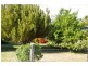 22 Smith Street, Cowra NSW 2794