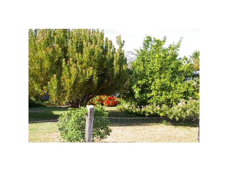 22 Smith Street, Cowra NSW 2794