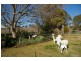 161 Elouera Road, Cowra NSW 2794