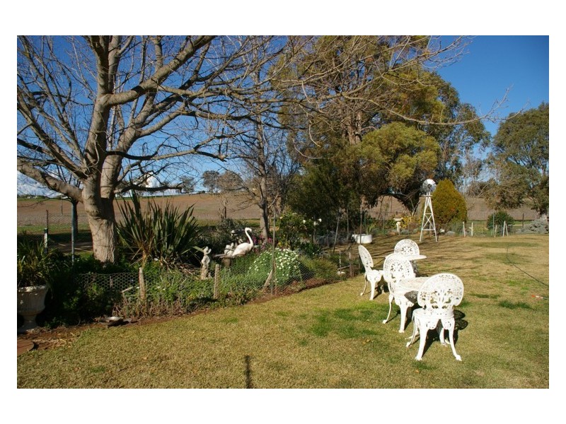161 Elouera Road, Cowra NSW 2794