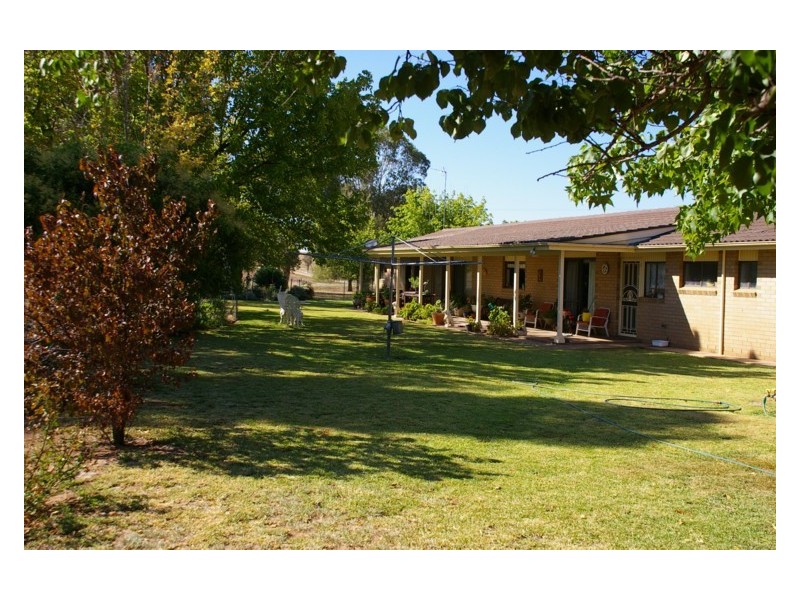 161 Elouera Road, Cowra NSW 2794