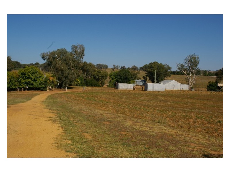 161 Elouera Road, Cowra NSW 2794