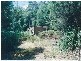 * Maguires ROAD, Nabageena TAS 7330