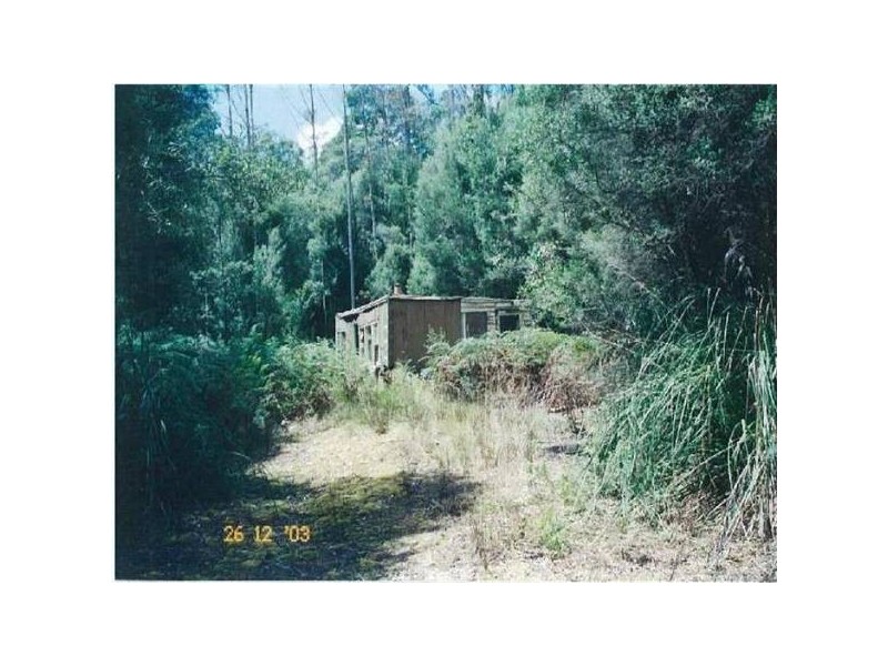 * Maguires ROAD, Nabageena TAS 7330