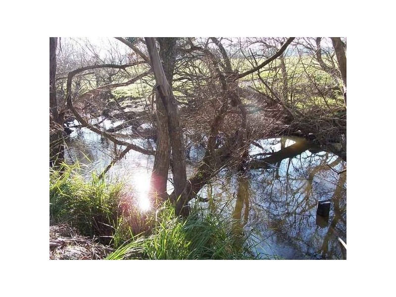 * Trowutta ROAD, Smithton TAS 7330