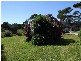 24933 Bass Highway, Brittons Swamp TAS 7330