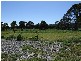 24933 Bass Highway, Brittons Swamp TAS 7330