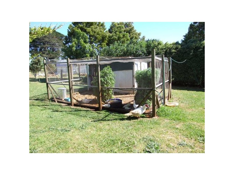 1119 South Road, Lileah TAS 7330