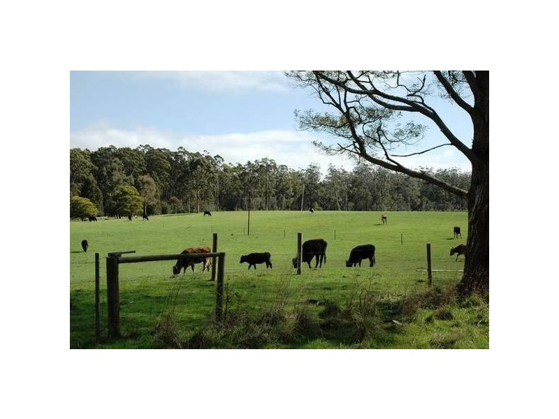 280 Cuba Road, Smithton TAS 7330
