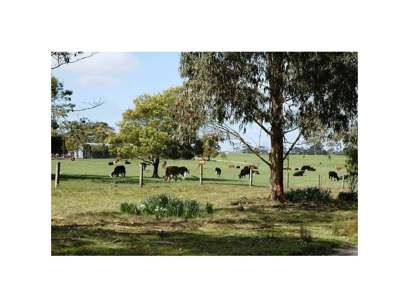 280 Cuba Road, Smithton TAS 7330