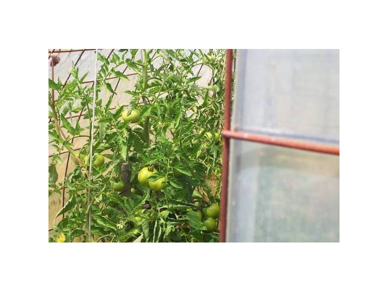 22 Boydney Road, Smithton TAS 7330