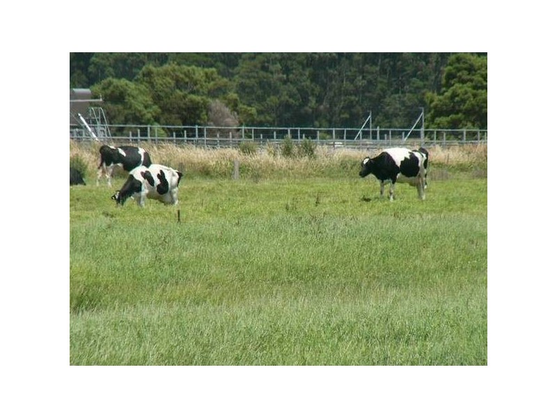 39 Rennison Road, Togari TAS 7330