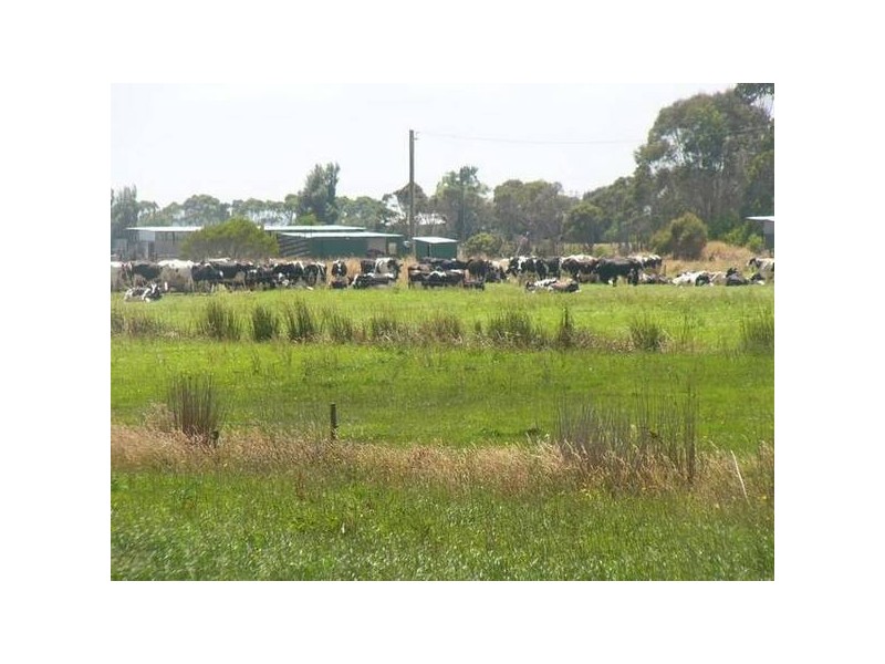 39 Rennison Road, Togari TAS 7330