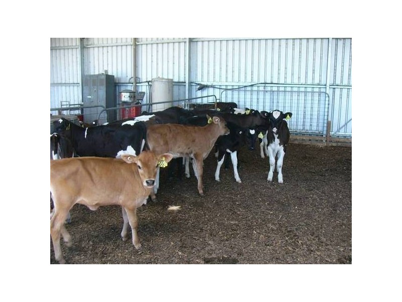 39 Rennison Road, Togari TAS 7330