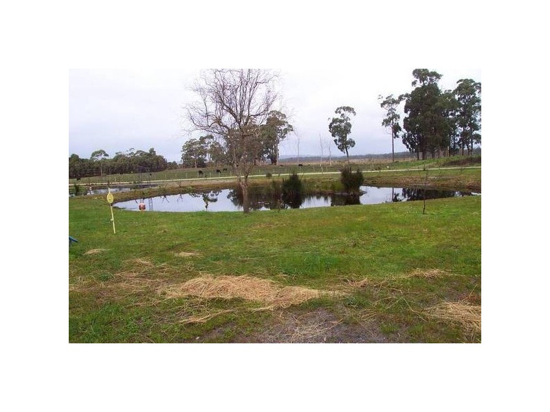 244 Dixons Road, Christmas Hills TAS 7330