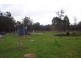 244 Dixons Road, Christmas Hills TAS 7330