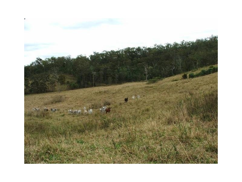 1695 Bolingbroke – Koumala Road, Koumala QLD 4738
