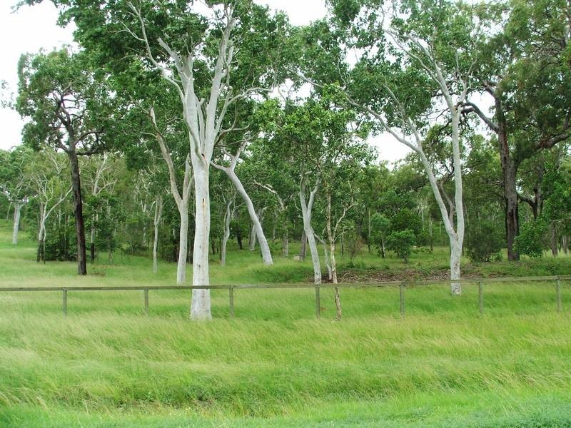 21 Miran Khan Drive, Freshwater Point QLD 4737