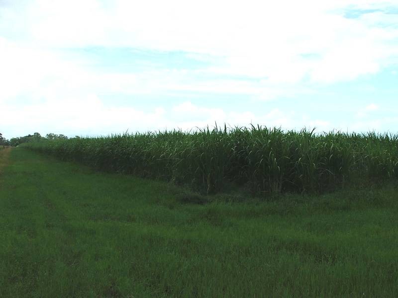 Lot 4 & 6 Loadsman Road, Carmila QLD 4739