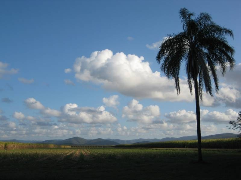 Lot 4 & 6 Loadsman Road, Carmila QLD 4739