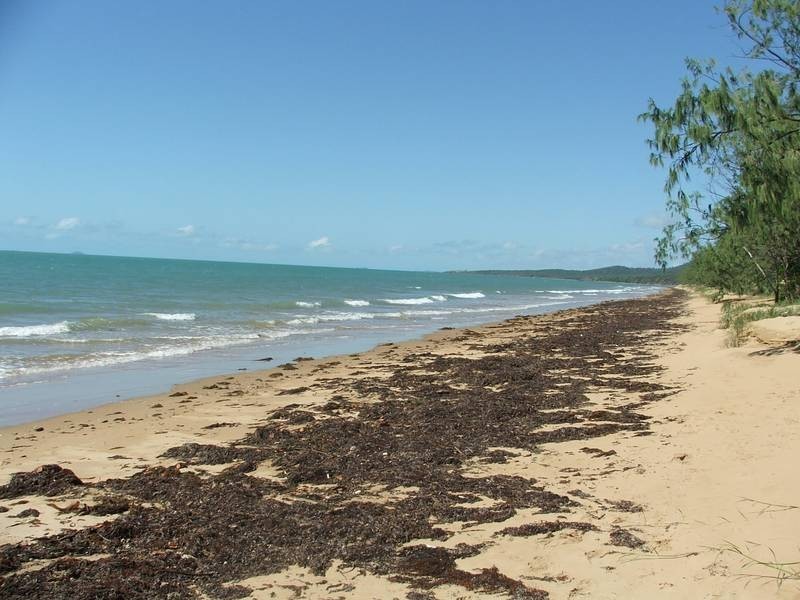 65 Rasmussen Avenue, Salonika Beach QLD 4740