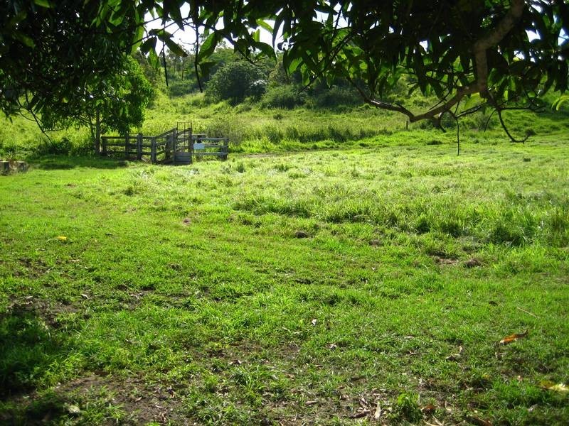 69 Grasstree Beach Road, Grasstree Beach QLD 4740