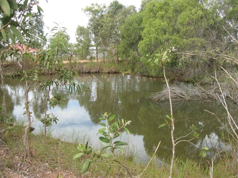 867 Greenhill Road, Ilbilbie QLD 4738