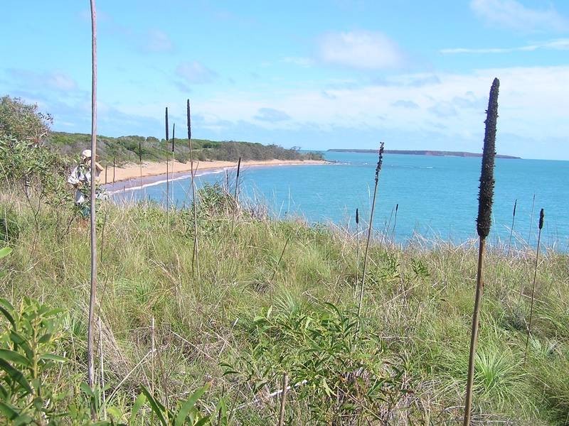 1 Avoid Island, Percy Group, Carmila QLD 4739