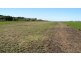 1 Avoid Island, Percy Group, Carmila QLD 4739