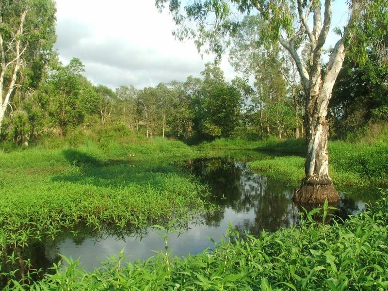 22 R Williams Road, Koumala QLD 4738