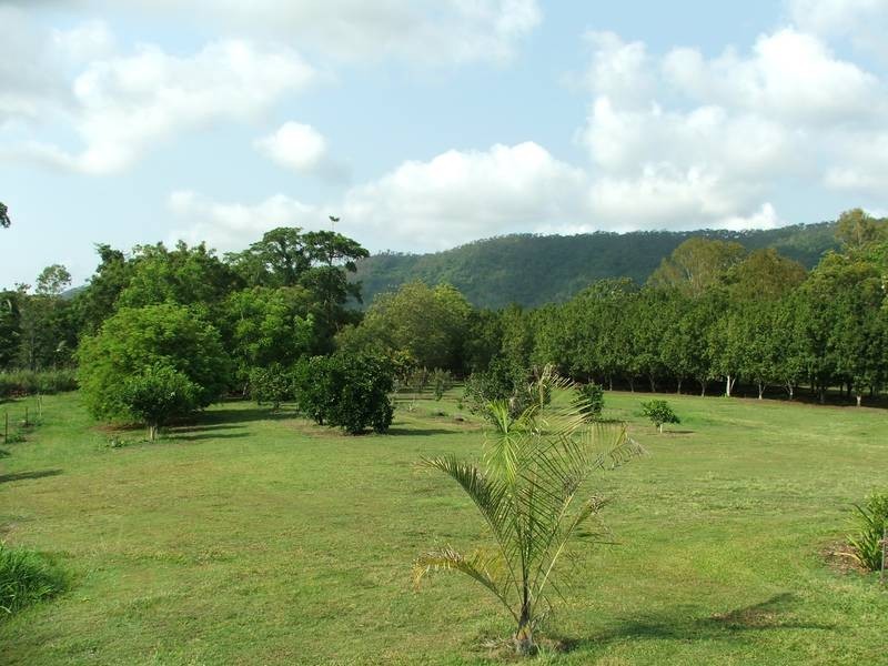 22 R Williams Road, Koumala QLD 4738