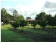 22 R Williams Road, Koumala QLD 4738