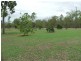 15 Meatworks Road, St Lawrence QLD 4707
