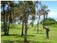 6 Silver Street, Grasstree Beach QLD 4740