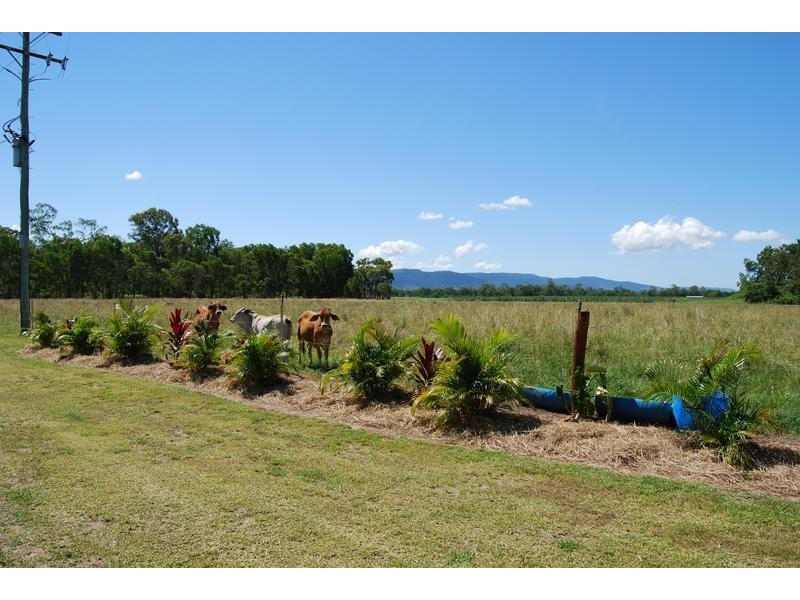 165 Smarts Road, Koumala QLD 4738