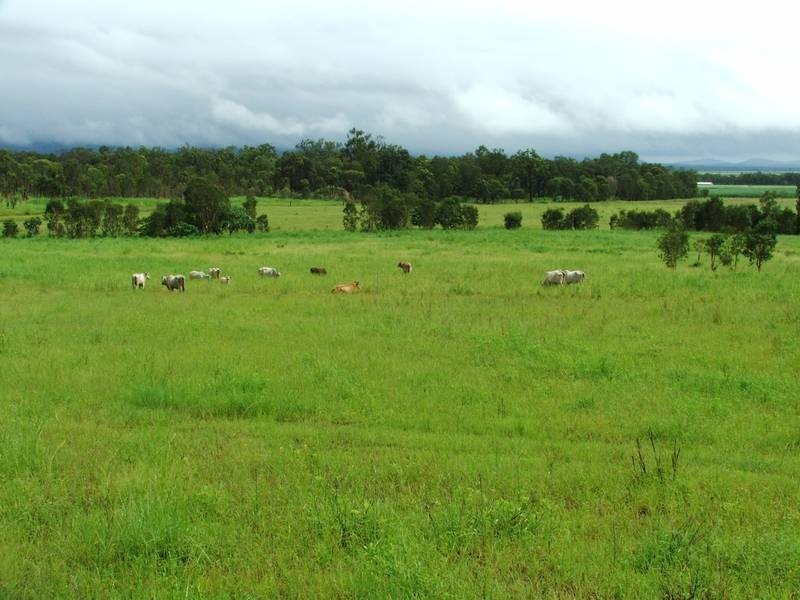 165 Smart Road, Koumala QLD 4738