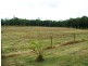 280 Turner Paddock Road, Koumala QLD 4738