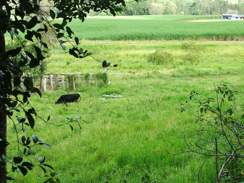 408 Range Road, Sarina QLD 4737