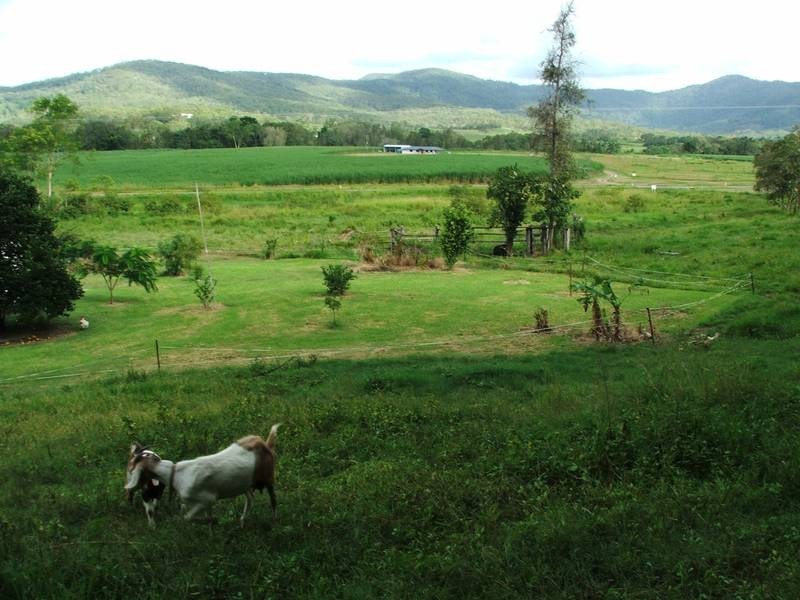 408 Range Road, Sarina QLD 4737