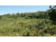 Lot 1 53 Mick Ready Road, Grasstree Beach QLD 4740